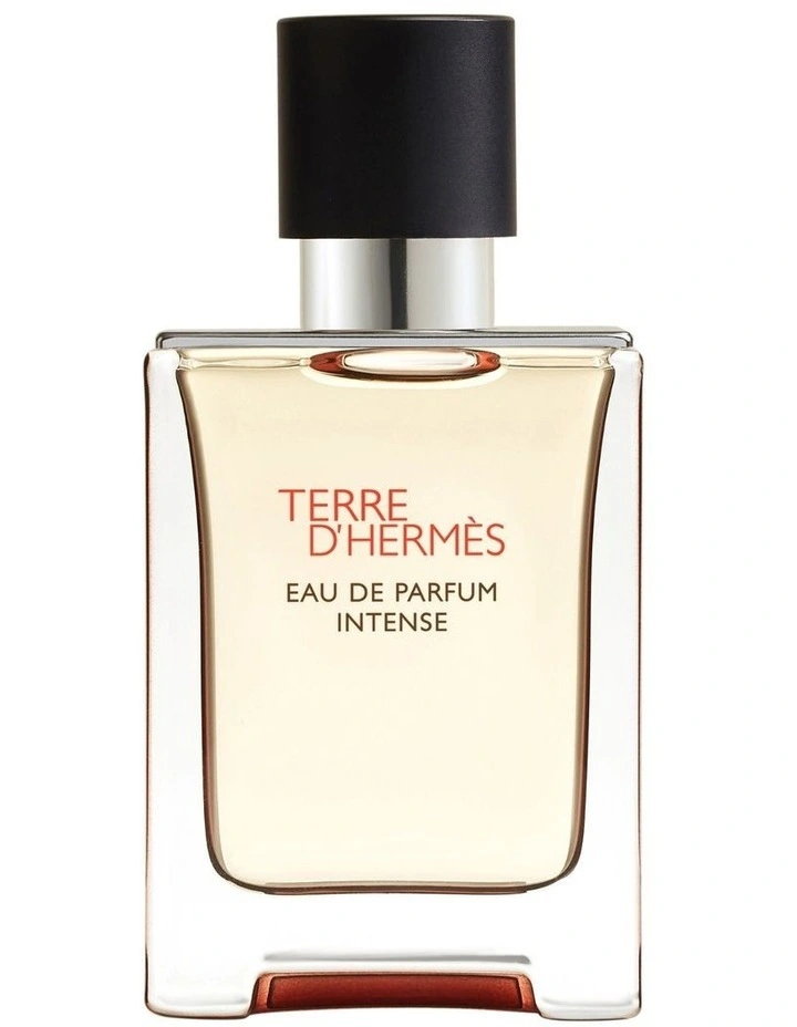 HERMES TERRE D'HERMES EAU DE TOILETTE 100ML
