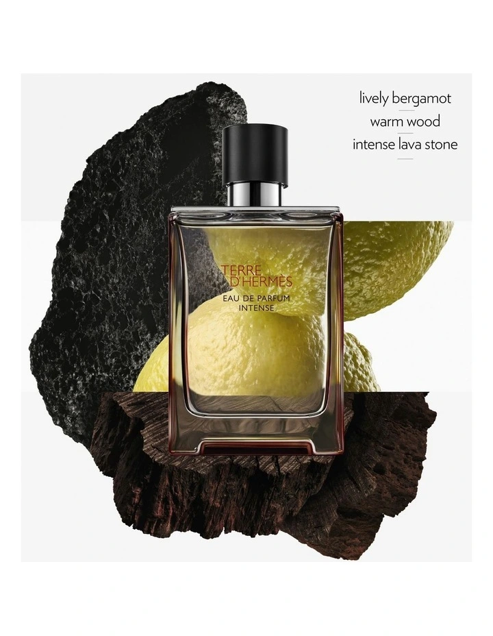 HERMES TERRE D'HERMES EAU DE TOILETTE 100ML